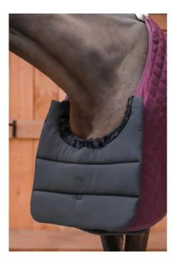 Harcour Gala Protege poitrail