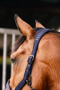 Harcour Hansy Licol et Longe