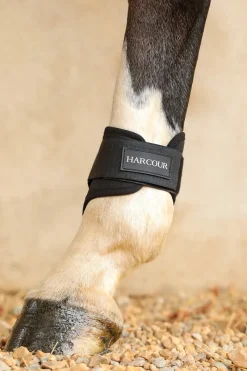 Harcour Maddi Proteges-boulets