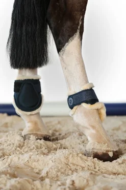 Harcour Totseen Proteges boulets