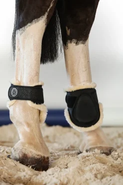 Harcour Totseen Proteges boulets