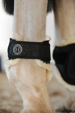 Harcour Totseen Proteges boulets